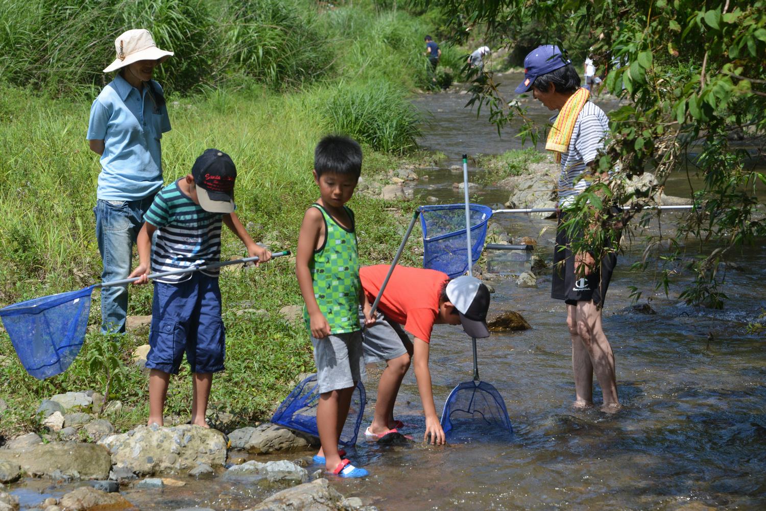 川の生き物を集める子供たちの写真